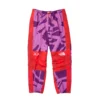 The North Face XX Kaws Mens Mountain Light Pants 'Pamplona Purple Mountain Light Print'