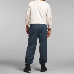 The North Face Mens GTX Mountain Pants -Cheap Modizzy Store NF0A831LLO3 3