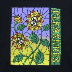 Pleasures Mens Glass Hoody -Cheap Modizzy Store P22F061 BLACK 4