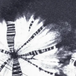 Patta Mens Basic Shibori Jogging Shorts -Cheap Modizzy Store POC BC SHIBORI JS 001 4